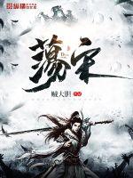 荡宋封面图片