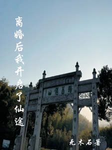 离婚后我开启了仙途封面图片
