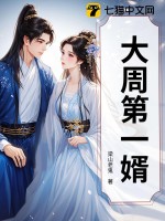 大周第一婿封面图片