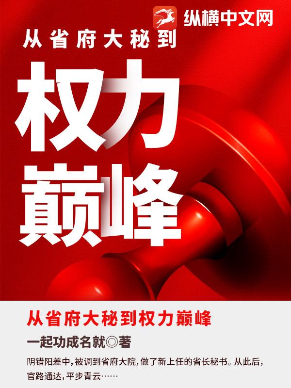 从省府大秘到权力巅峰封面图片