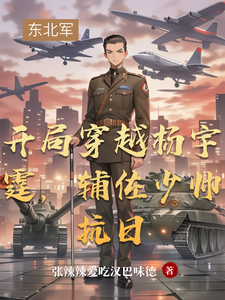 开局穿越杨宇霆，辅佐少帅抗日封面图片