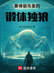 赛博朋克里的锻体独狼封面图片