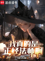 我真的是正经法师啊封面图片