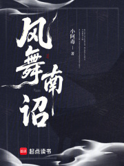 风舞南诏封面图片