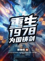 重生1978，为国铸剑封面图片