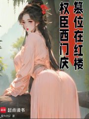 权臣西门庆，篡位在红楼封面图片