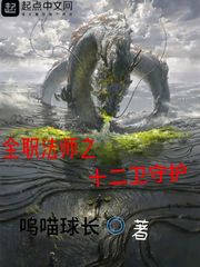 全职法师之十二卫守护封面图片