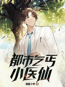 都市乞丐小医仙封面图片