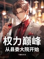 权力巅峰：从县委大院开始封面图片
