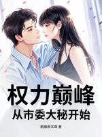 权力巅峰：从市委大秘开始封面图片