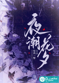 夜潮花夕封面图片