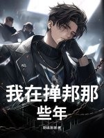我在掸邦那些年封面图片
