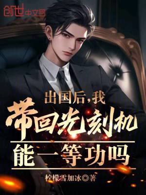 出国后，我带回光刻机能一等功吗封面图片