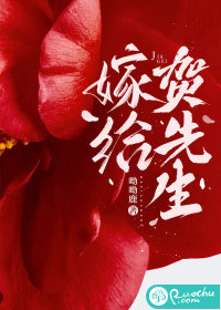 嫁给贺先生封面图片