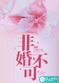 非婚不可封面图片