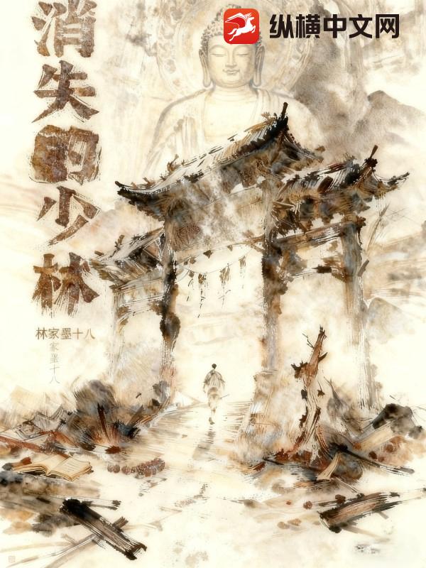 消失的少林封面图片