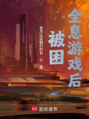 被困全息游戏后封面图片