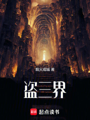 盗三界封面图片