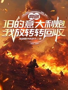 亮剑：旧的意大利炮我放转转回收封面图片