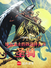 成为术士的我选择去当圣骑！封面图片