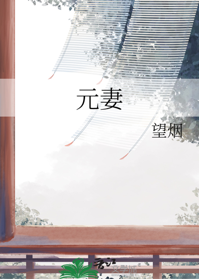 元妻封面图片