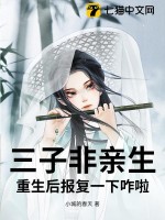 三子非亲生，重生后报复一下咋啦封面图片