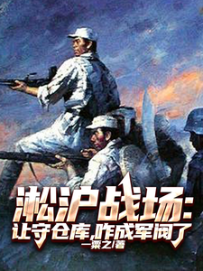 淞沪战场：让守仓库，咋成军阀了封面图片