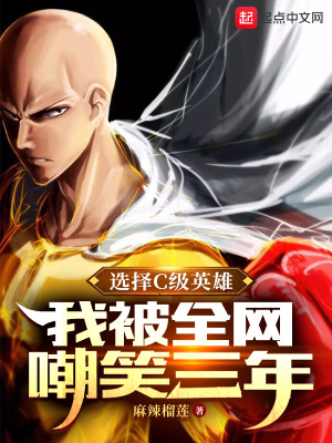 选择C级英雄，我被全网嘲笑三年封面图片