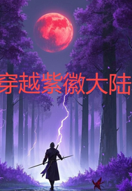 穿越紫徽大陆封面图片