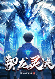 契龙灵决封面图片