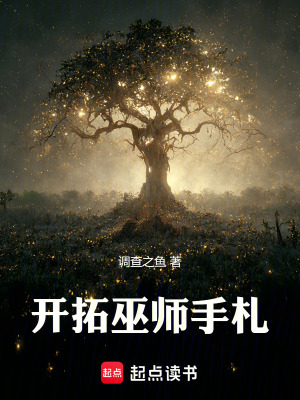 开拓巫师手札封面图片