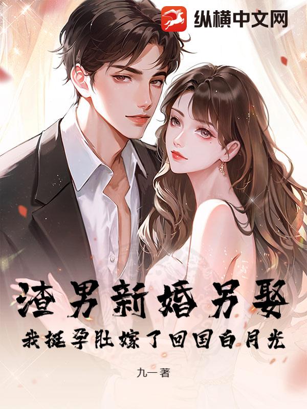 渣男新婚另娶，我挺孕肚嫁了回国白月光封面图片