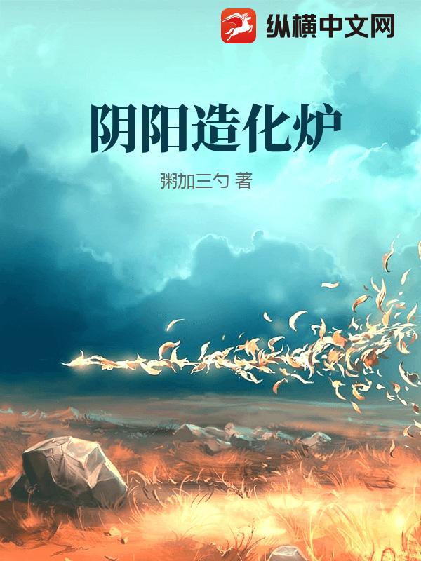 阴阳造化炉封面图片