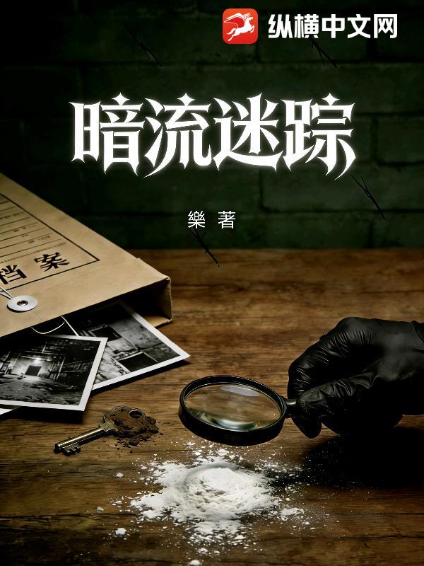 暗流迷踪封面图片
