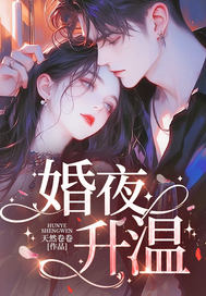 婚夜升温封面图片