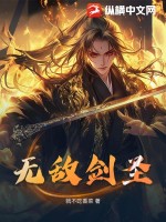 无敌剑圣封面图片