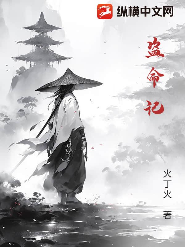 盗命记封面图片