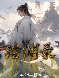 踏渊录封面图片