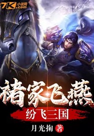 褚家飞燕纷飞三国封面图片