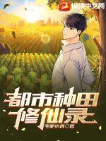 都市种田修仙录封面图片