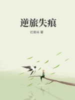 逆旅失痕封面图片