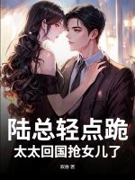陆总轻点跪，太太回国抢女儿了封面图片