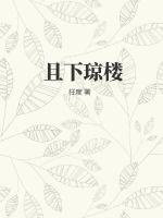 且下琼楼封面图片
