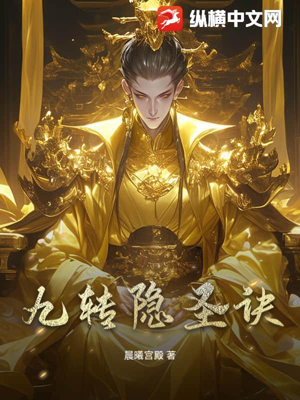 九转隐圣诀封面图片