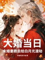 大婚当日，未婚妻跑去给白月光渡劫封面图片