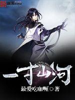 一寸山河封面图片