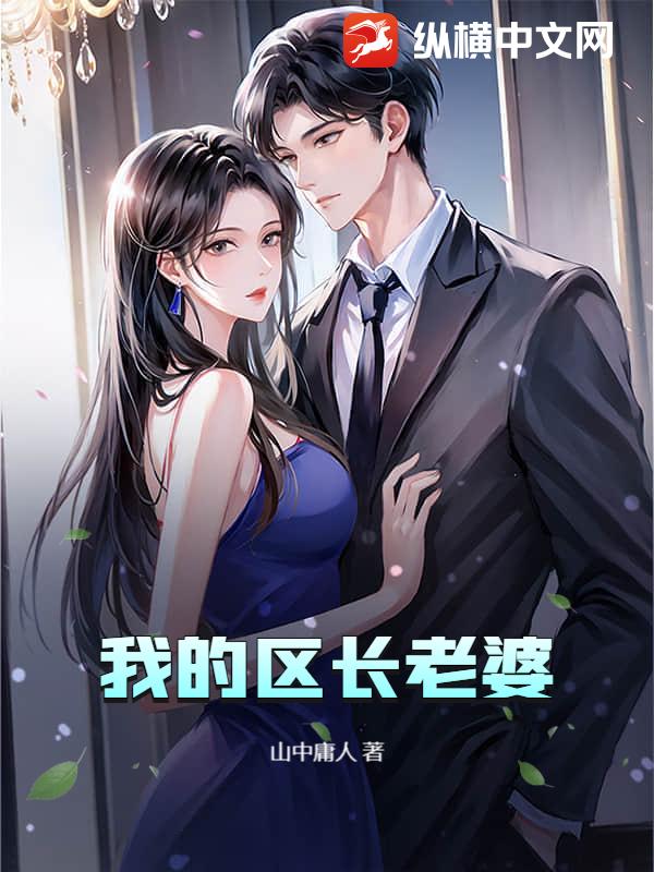 我的区长老婆封面图片