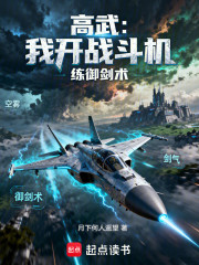 高武：我开战斗机练御剑术封面图片