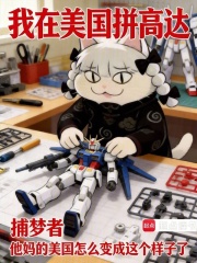 我在美国拼高达封面图片