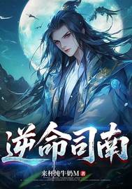 逆命司南封面图片